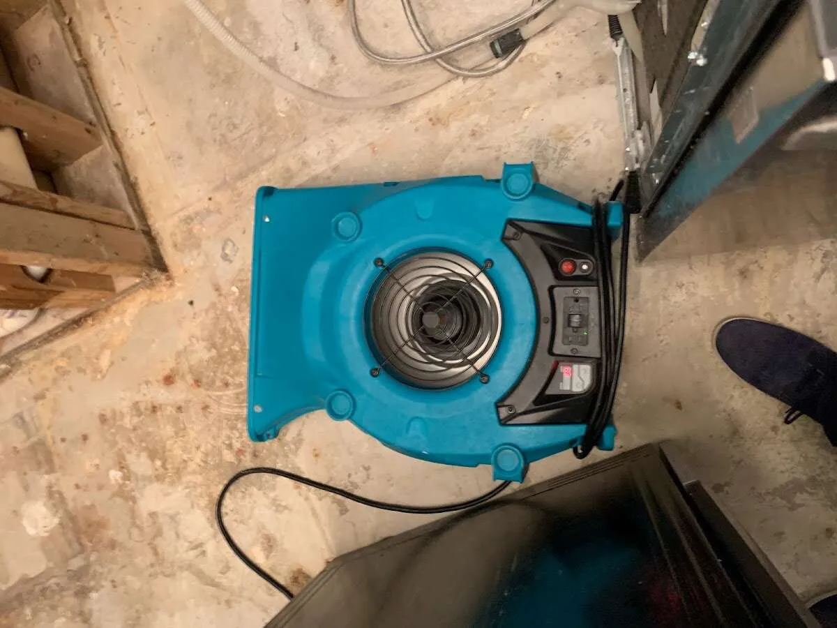 Air mover drying equipment for Mold Remediation & Removal in Fairlawn